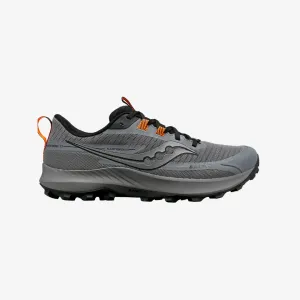 Men's Peregrine 13 GTX